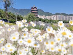 -门城湖公园