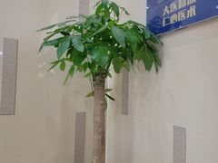 -贵阳阿波罗男科医院·省男性生殖健康中心