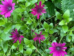 -南通洲际绿博园