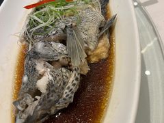 -骏莱海鲜鱼港(五角场店)