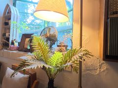 -樹下遇见树·咖啡