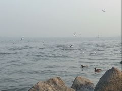 -深圳湾公园(南山区)