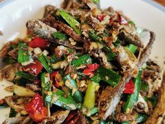 -印象鲵宴·张家界地标美食名片(溪布街店)