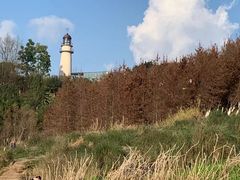 -金海湾滨江公园