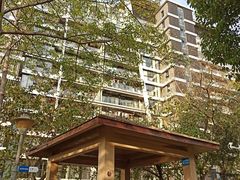-小南山公园