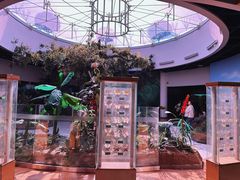 -陕西自然博物馆