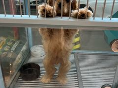 -FAELING PETS美天灵宠物(合生汇店)