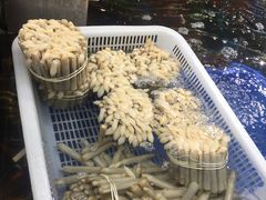 -盒马鲜生(大成店)