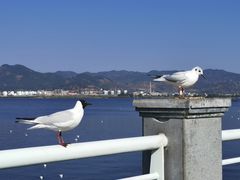 -滇池海埂公园
