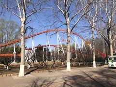 -朝阳公园游乐园