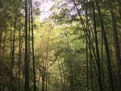 -南山风景名胜区