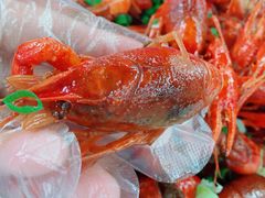-7890+霸王甲·甲鱼爱尚蛙(坪洲店)