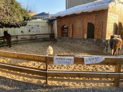 -HERRE·FARM 赫尔露营农场·团建聚会包场