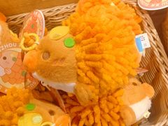 -猫的天空之城概念书店(苏州诚品店)