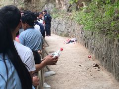 -洛阳白云山景区