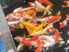 -聚福宝合苑食府(南头镇店)