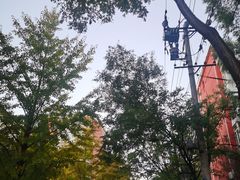 -大钟寺古钟博物馆