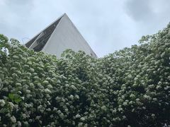 -四川大学(望江校区)
