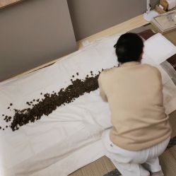 -姜美堂·蒸姜除湿の纤体美颜馆