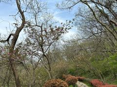 -南京市江宁方山