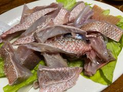 -金砂阿洲鱼册店