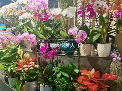 -Olé精品超市(广州太古汇店)