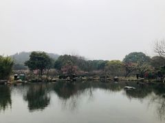 -白马涧龙池景区