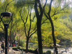 -柳浪闻莺公园