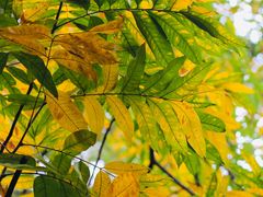 -杭州半山国家森林公园