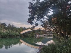 -花溪公园