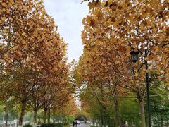 -大渡口区义渡公园