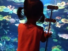 -暹罗海洋世界