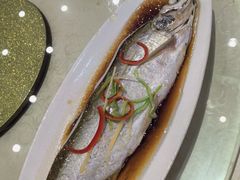 -锦江中华村农家乐饭庄