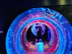 -海合安成都极地海洋公园