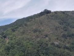 -梧桐山风景名胜区