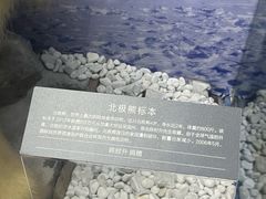 -温州博物馆