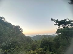 -金龙寺国家森林公园