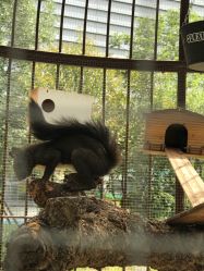 -萌宠亲子动物乐园(槐房万达店)