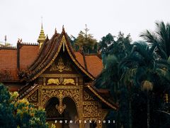 -西双版纳总佛寺