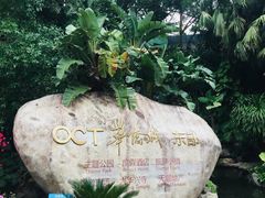 -东部华侨城