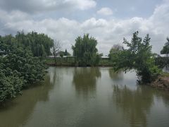 -马陆小张葡萄园农家乐