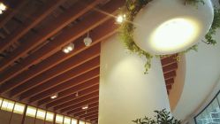 -悦诗风吟innisfree