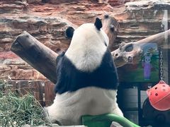 -石家庄市动物园