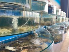 -蓝珊甄选海鲜自助·火锅大排档(近阿那亚店)