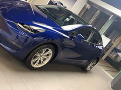 -TESLA 特斯拉(郑州正弘城体验店)