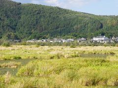 -腾冲北海湿地