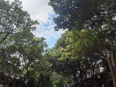 -平乐古镇