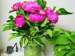 -双季花艺园艺市场(浦东店)