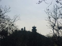 -杭州半山国家森林公园