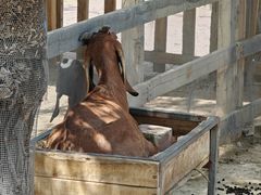 -水上乐园·欢乐世界